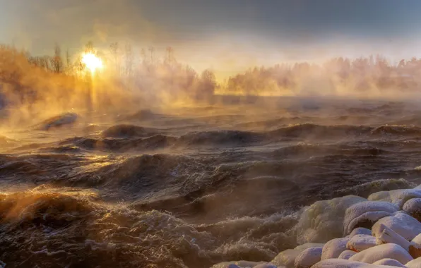 Picture winter, wave, water, the sun, snow, landscape, nature, fog