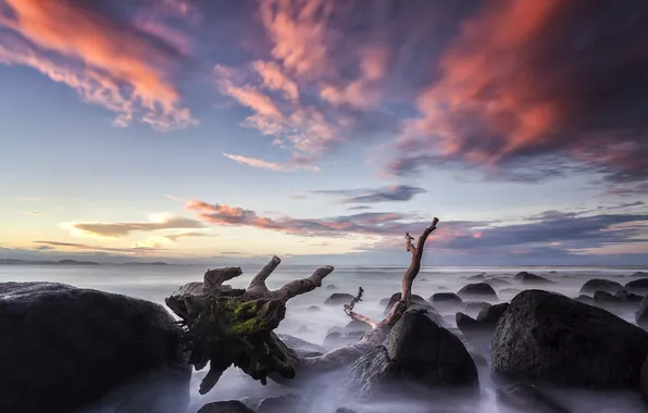 Stones, the ocean, rocks, dawn, coast, horizon
