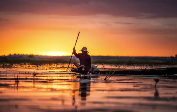 Picture sunset, flowers, lake, reflection, fisherman, mirror, Canoeing
