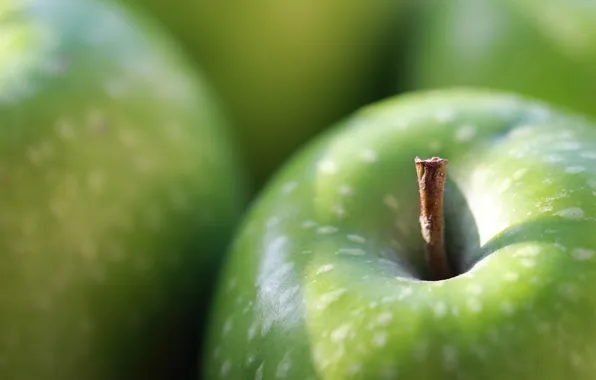Picture macro, Apple, fruit