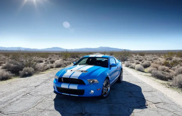 Picture road, grass, Ford