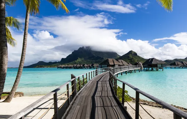 Tropics, palm trees, the ocean, Bora Bora, resort, Laguna, Bora-Bora, French Polynesia