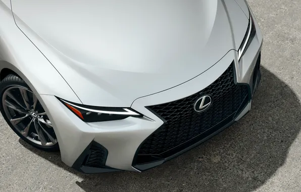 Car, Lexus, sport, exterior, F sport, 2021