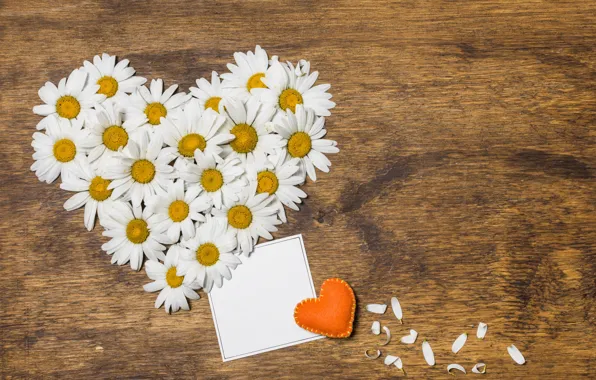 Picture love, flowers, heart, chamomile, love, heart, wood, flowers