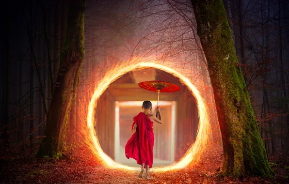 Light, umbrella, the portal, autumn forest, Buddhist nuns