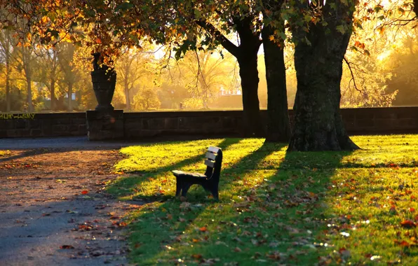 Picture autumn, bench, Park, the evening