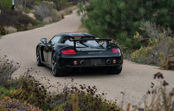 Picture Porsche, Porsche Carrera GT, rear view