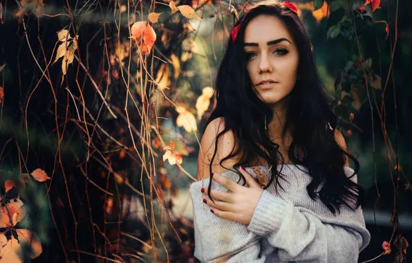 Autumn, girl, branches, pose, hair, hand, portrait, brunette
