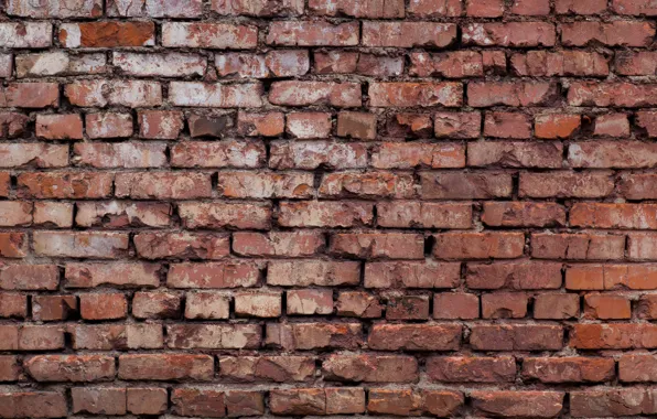 Red, wall, bricks
