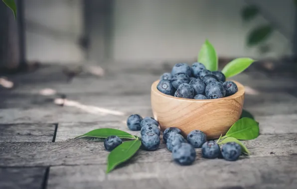 Picture berries, blueberries, fresh, blueberry, blueberries, berries