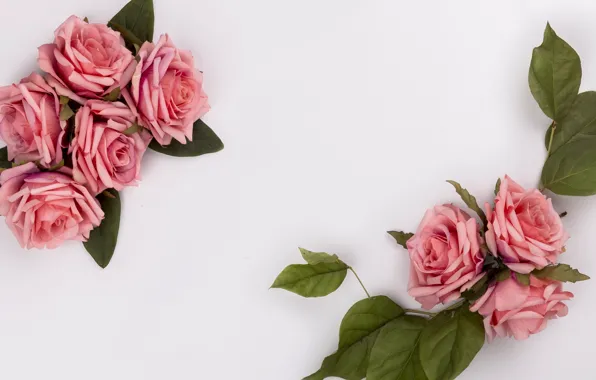 Flowers, roses, bouquet, pink, pink, flowers, composition, roses