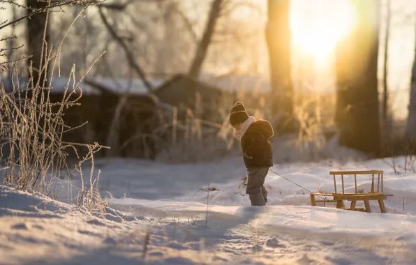 Snow, boy, sled