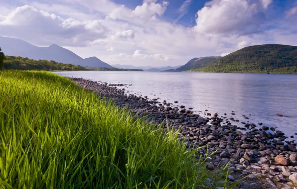 The sky, grass, clouds, lake, shore