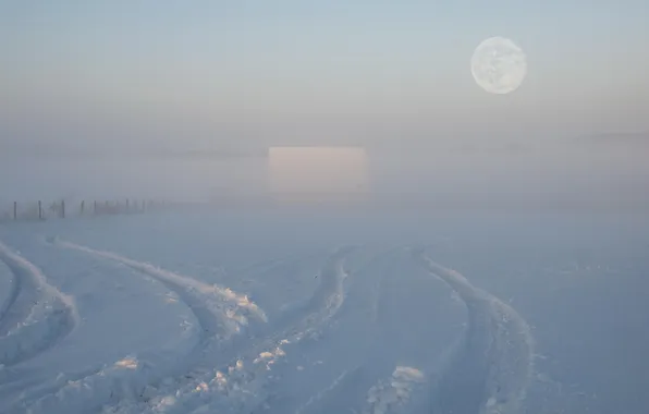 Winter, field, landscape, fog