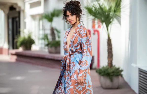 Picture look, girl, pose, singer, beauty, bokeh, Camila Hair