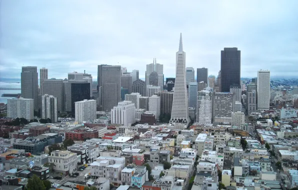 Picture Panorama, Building, San Francisco, USA, USA, Panorama, San-Francisco