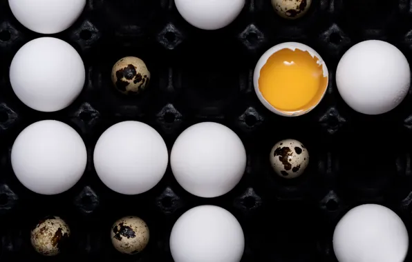 Eggs, the yolk, quail, chicken