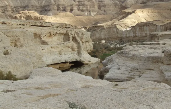 Picture ISRAEL, THE NEGEV DESERT, OASIS