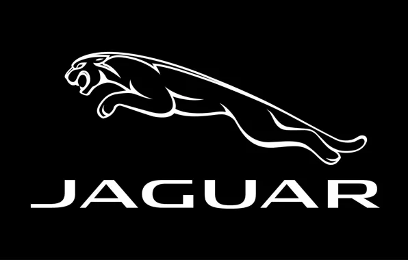 Black, Jaguar, logo, Jaguar, fon