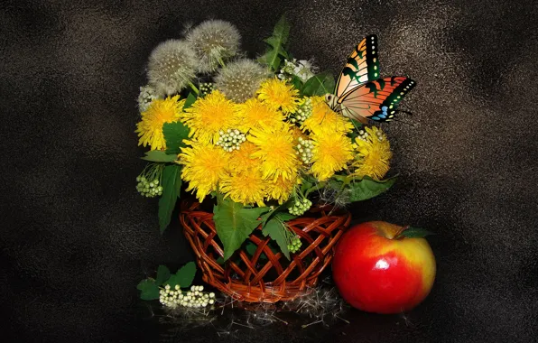 Picture BUTTERFLY, Still life, DANDELIONS, BEAUTY, THE WALLPAPERS