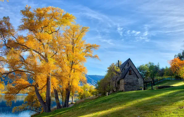 Autumn, the sky, grass, leaves, the sun, trees, river, shore