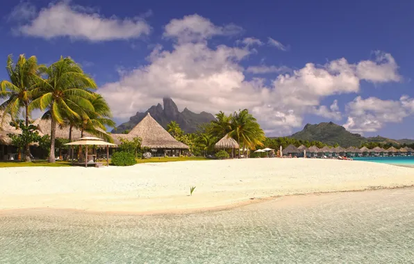 Beach, tropics, palm trees, the ocean, shore, resort, exotic, Laguna