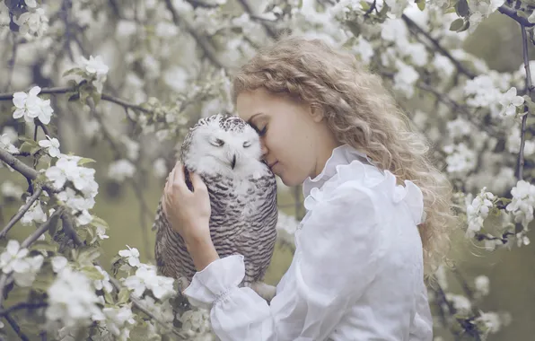 Girl, flowers, branches, nature, pose, owl, bird, spring