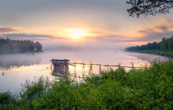 Picture fog, morning, river