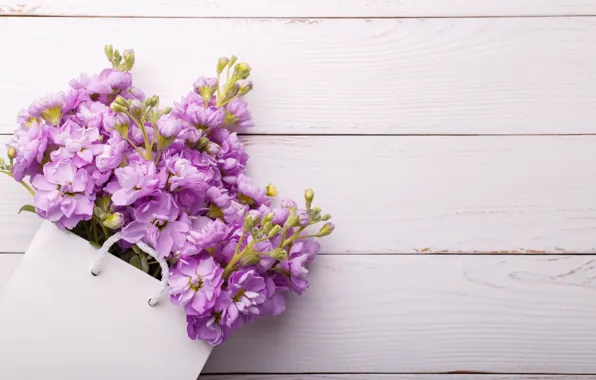Flowers, wood, flowers, spring, violet