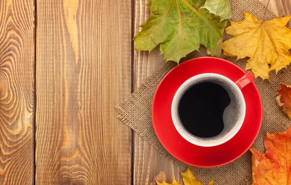 Picture autumn, coffee, Cup, maple, autumn, leaves, cup, coffee
