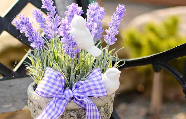 Picture bow, lavender, pot