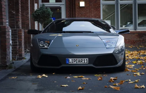 Car, leaves, the city, Lamborghini, revenge