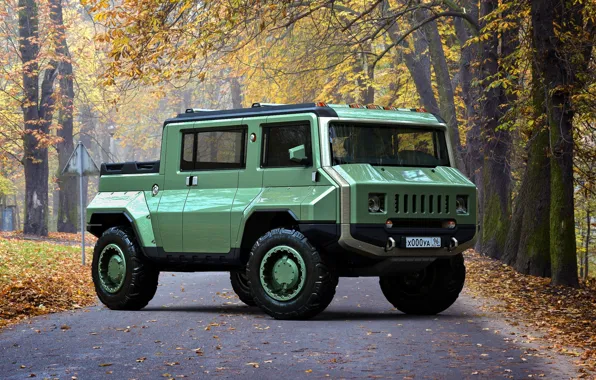 Picture road, transport, foliage, car, H-UAZ concept