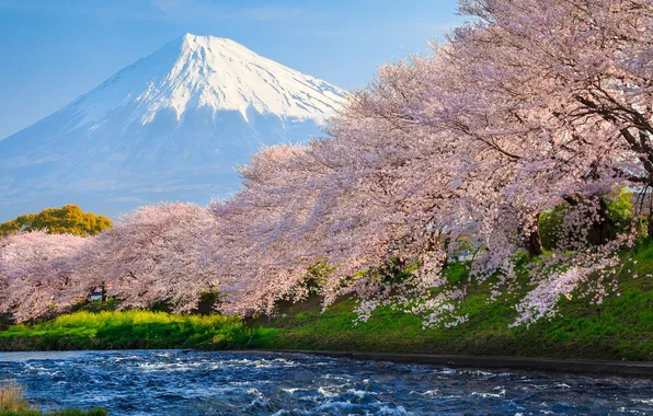 Picture the sky, trees, landscape, nature, river, Japan, Sakura, horizon