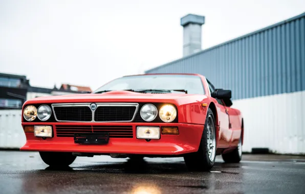 Front, Lancia, Rally, 1981, Lancia Rall Stradale 037 Stradale