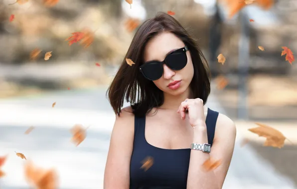 Leaves, glasses, sponge, Mia, curls, Roman Strazanec