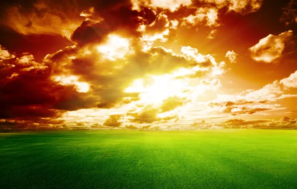 Field, the sky, grass, sunset, sky, landscape, nature, sunset