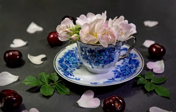 Picture leaves, flowers, cherry, petals, briar, Cup, cherry, saucer