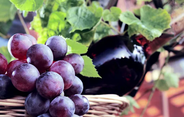 Berries, wine, basket, bottle, grapes, bunch