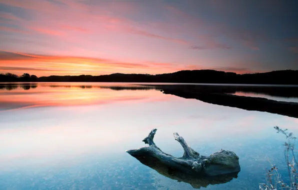 Landscape, sunset, lake, log