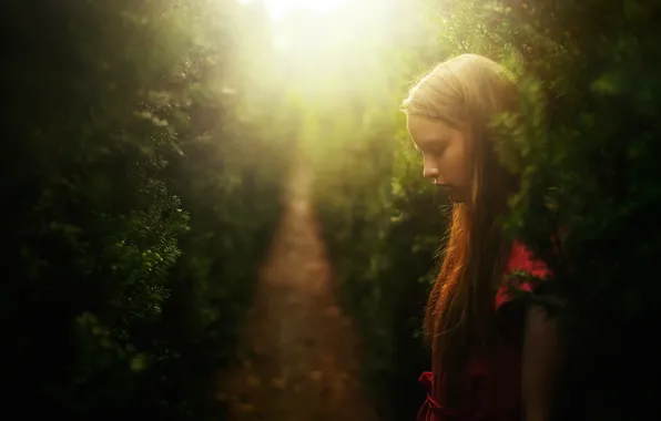 Picture girl, alley, Dreams, Christmas trees, needles, TJ Drysdale