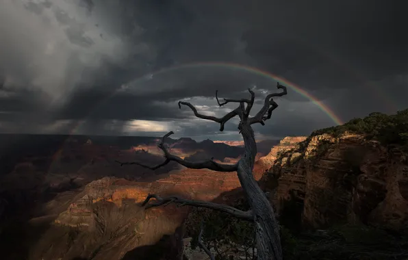 The sky, light, mountains, clouds, tree, rocks, rainbow, dal