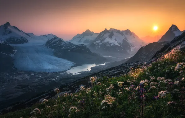 Flowers, mountains, fog, lake, view, dal, morning, slope