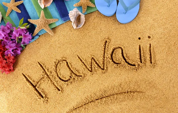 Beach, summer, nature, stay, vacation, summer, beach, nature