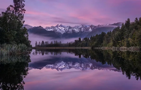 Forest, mountains, lake, reflection, dawn, morning, New Zealand, New Zealand
