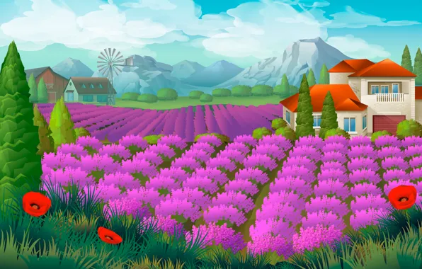 Field, landscape, mountains, house, Maki, lavender