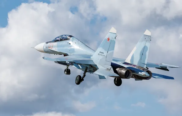 Weapons, the plane, Su-30SM