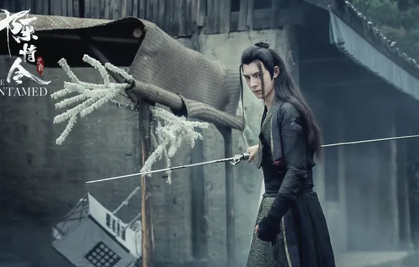 Sword, guy, antagonist, The Untamed, The Indomitable Lord of Chenqing, Wang Hao Xuan, Xue Yang, …