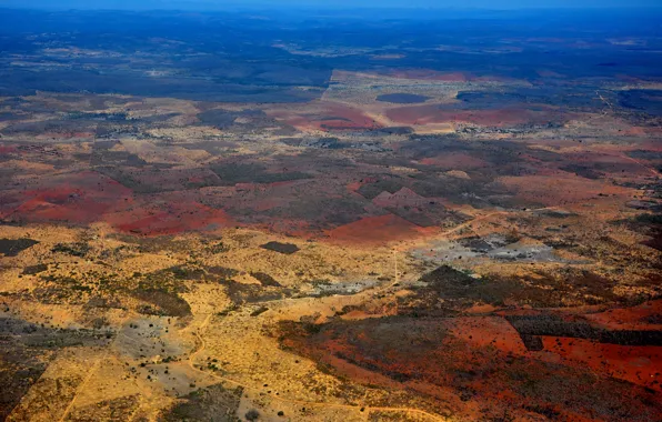 Picture desert, Brazil, Brasil, Caatinga, Wild