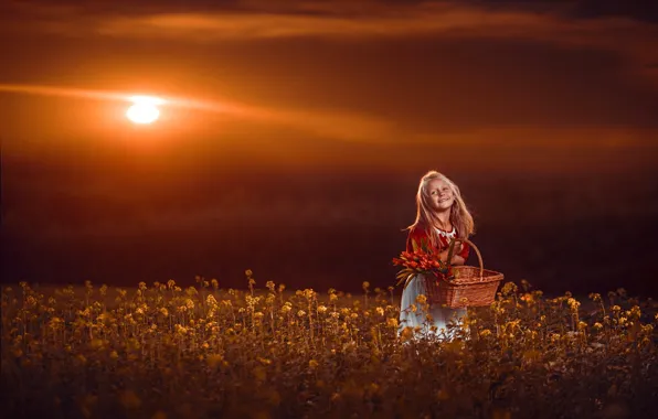 Picture field, sunset, flowers, smile, mood, basket, girl